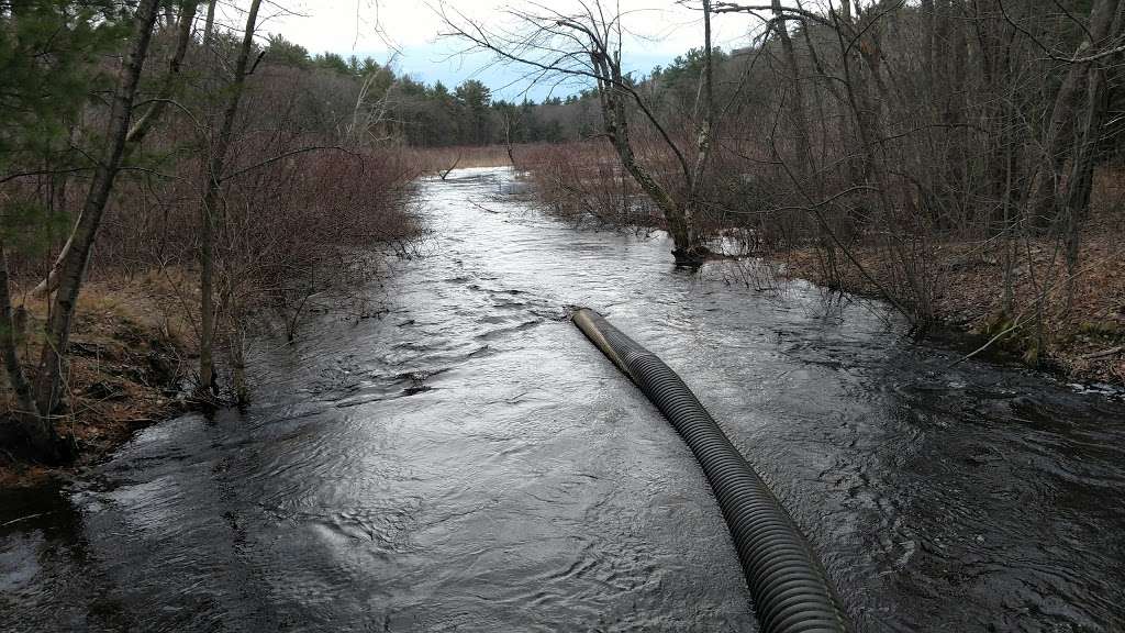 Breakheart Reservation | 177 Forest St, Saugus, MA 01906, USA | Phone: (781) 233-0834