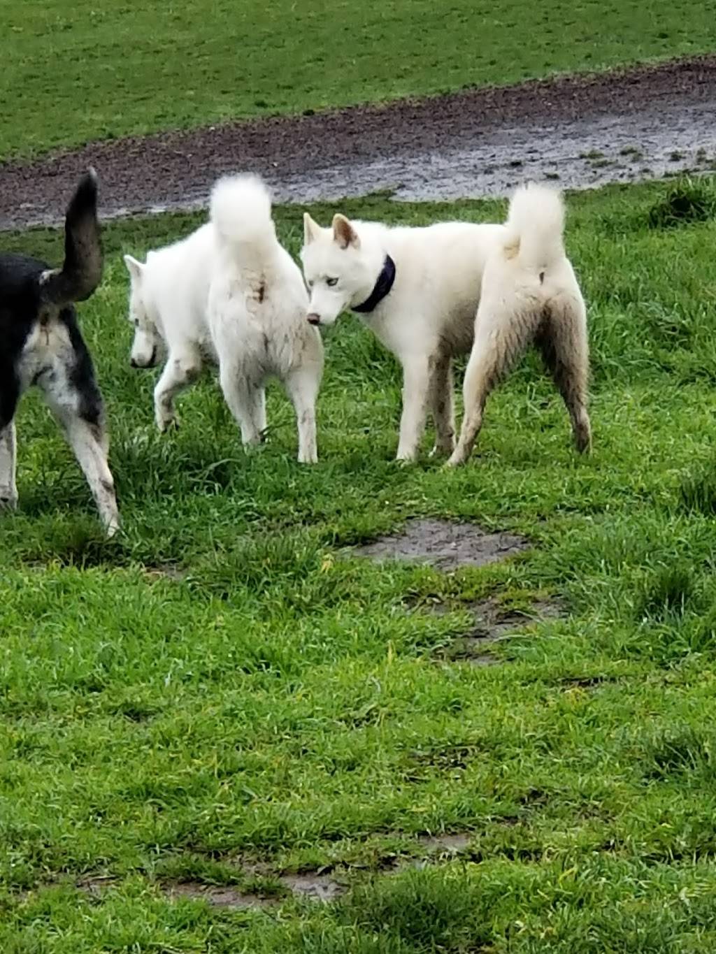 Chimney Park | 9360 N Columbia Blvd, Portland, OR 97203, USA | Phone: (503) 823-7529