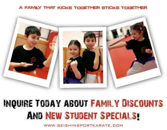 Seishin Martial Arts / Sport Karate Academy | 11 S Main St, Sherborn, MA 01770, USA | Phone: (508) 433-0901