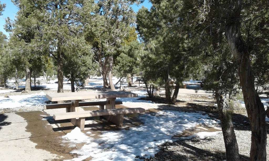 Old Mill Picnic Area | Las Vegas, NV 89124, USA