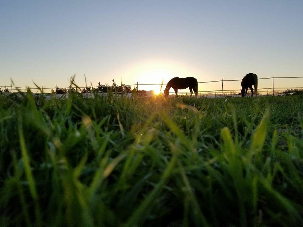 Brentwood Equestrian Center | 2300 Cumming Rd, Brentwood, CA 94513 | Phone: (925) 595-4030