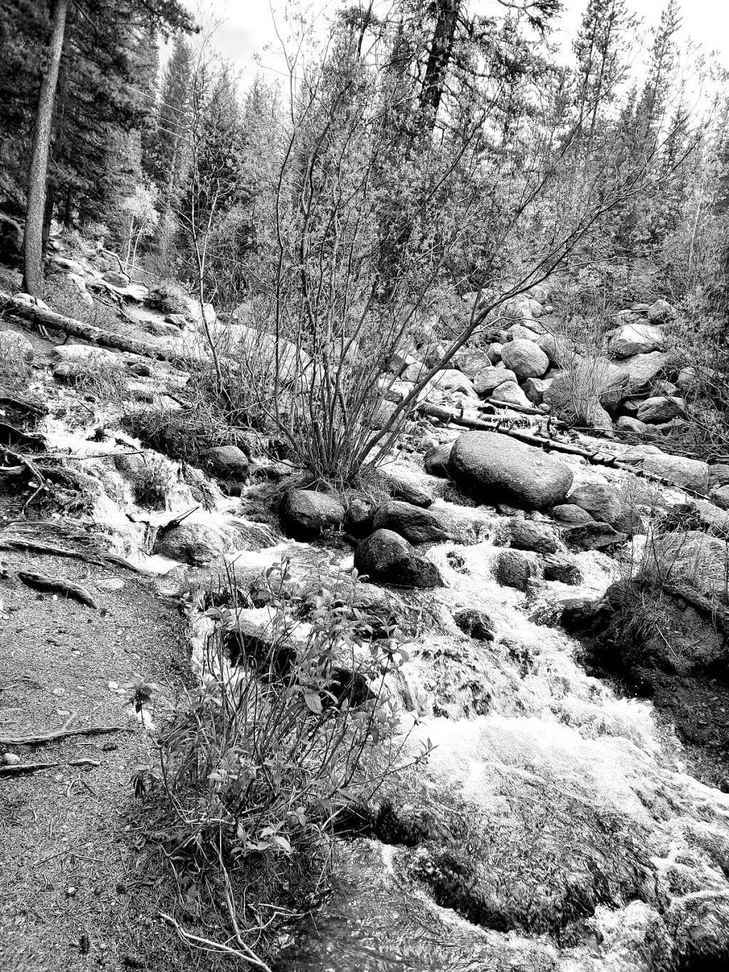 Chicago Creek Waterfall | 7500 Squaw Pass Rd, Idaho Springs, CO 80452, USA