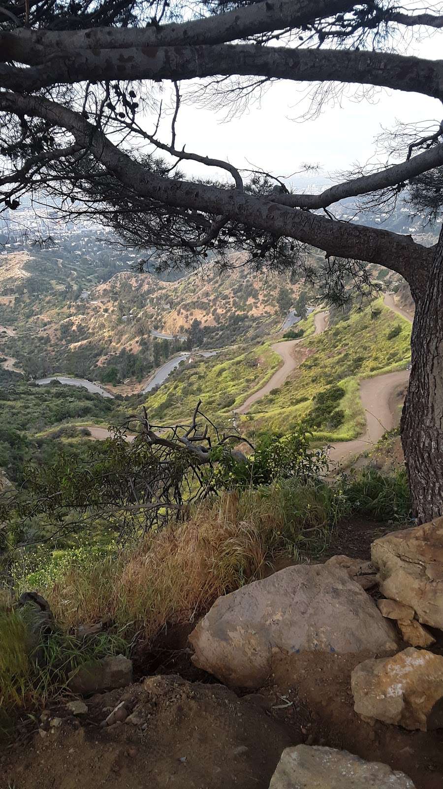 Griffith Park Trails | 2715 N Vermont Canyon Rd, Los Angeles, CA 90027, USA