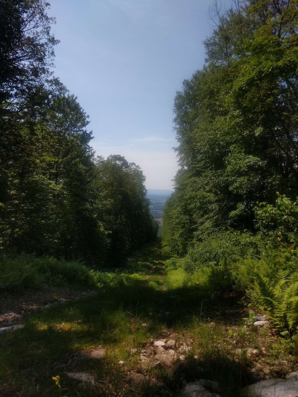 AT Crossing Utility Cut | Appalachian Trail, Bethel, PA 19507, USA