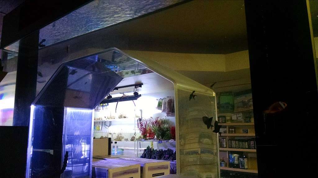 Coral Sea Aquariums | 1373 N Military Trl, West Palm Beach, FL 33409, USA | Phone: (561) 684-6411