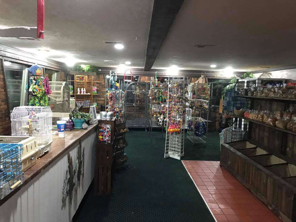 Parrot Tracks Exotic Bird Store | 410 E Main St, Chesterfield, IN 46017, USA | Phone: (765) 387-0373