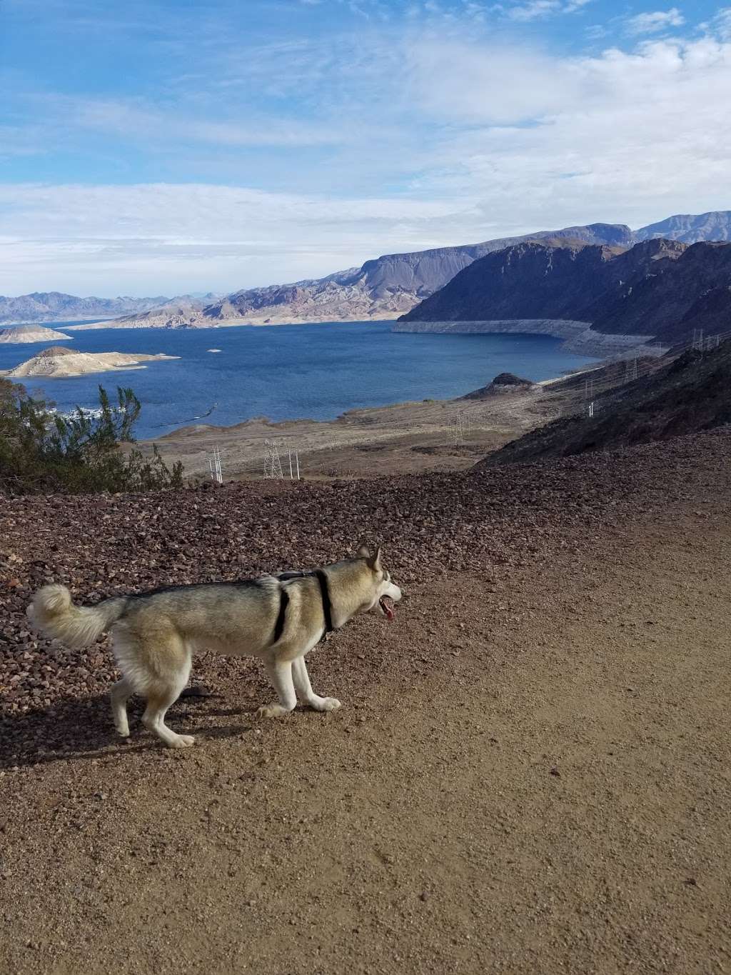 Historic Railroad Hiking Trail | Boulder City, NV 89005, USA | Phone: (702) 293-8990