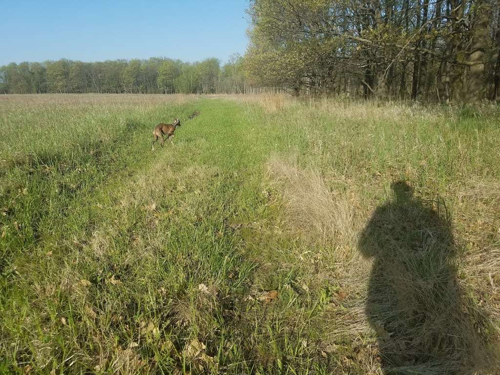 Bartel Grassland Land and Water Reserve | Central Ave & Flossmoor Rd, Tinley Park, IL 60477, USA | Phone: (708) 227-3912