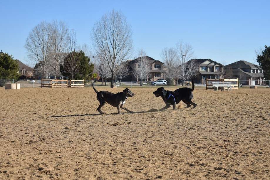 Broomfield Commons Dog Park | E 14th Ave & Sheridan Blvd, Broomfield, CO 80020, USA | Phone: (303) 469-3301