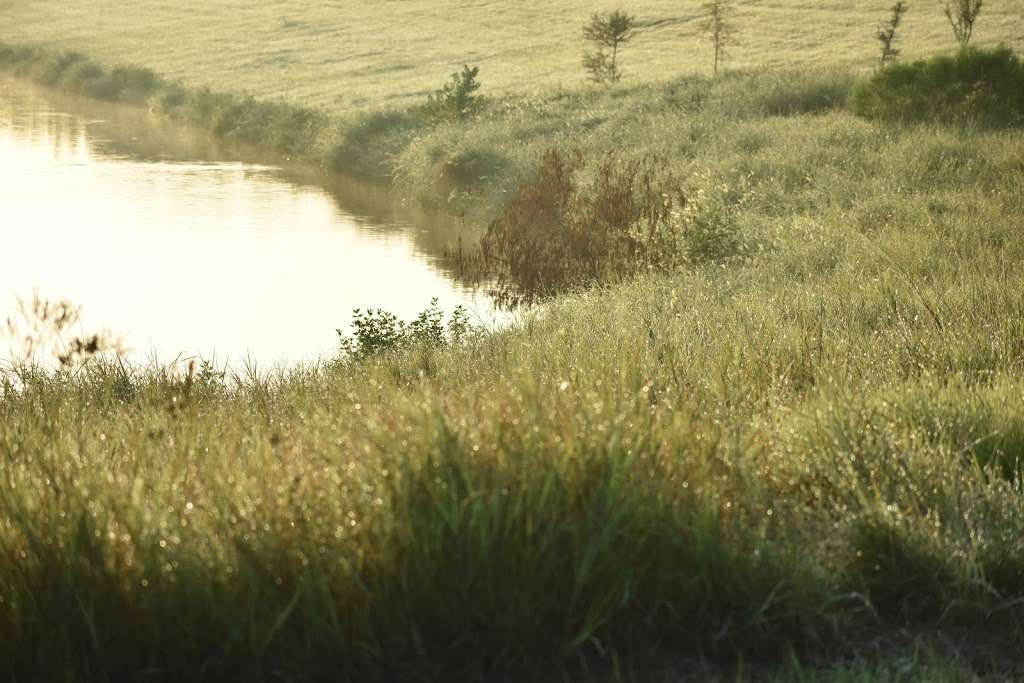 John Hargrove Environmental Complex | 5800 Magnolia St, Pearland, TX 77584, USA