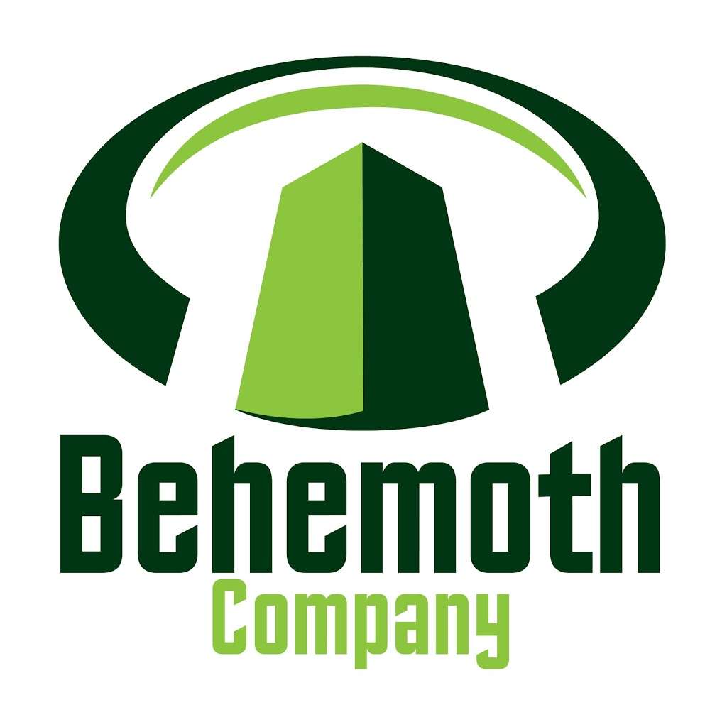 Behemoth House Buyers | 12424 Mile Dr, Houston, TX 77065, USA | Phone: (281) 864-3388