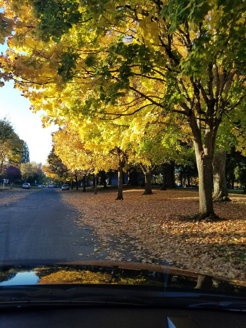 McKenna Park | N Princeton St & N Wall Ave, Portland, OR 97203, USA | Phone: (503) 823-2525