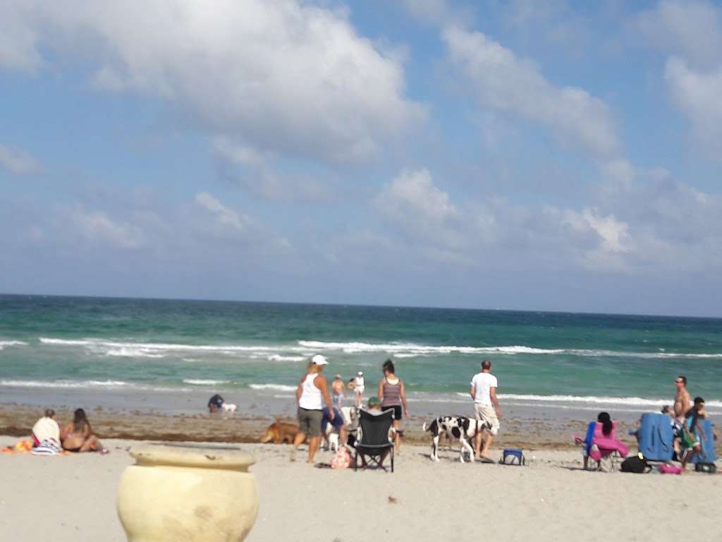 Hollywood Dog Beach | 4999 N Surf Rd, Hollywood, FL 33019, USA | Phone: (954) 921-3404