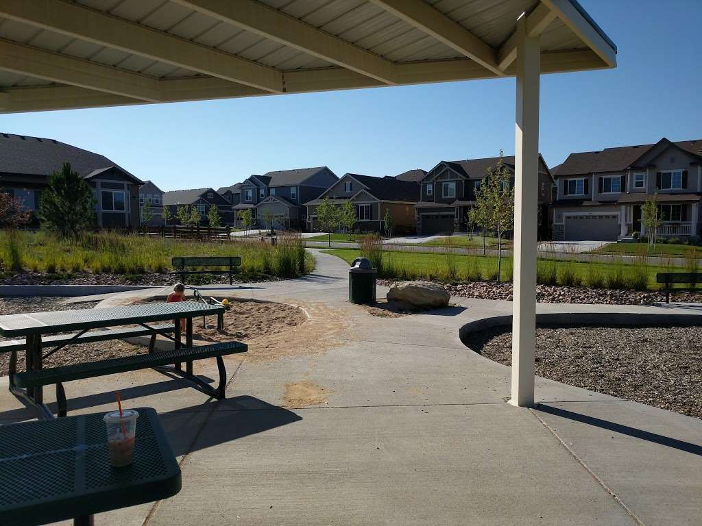 Colliers Hill - Rock Park | 649 Dawn Ave, Erie, CO 80516, USA