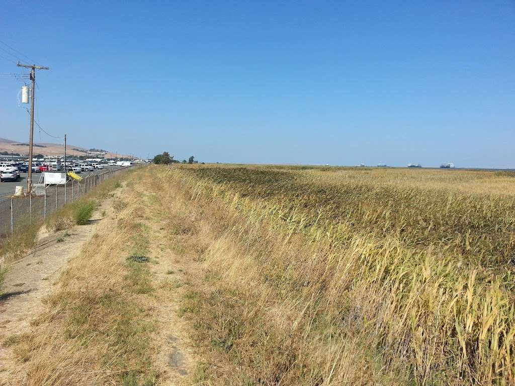 Marsh Observation Area Trailhead | 2676-2980 Bayshore Rd, Benicia, CA 94510