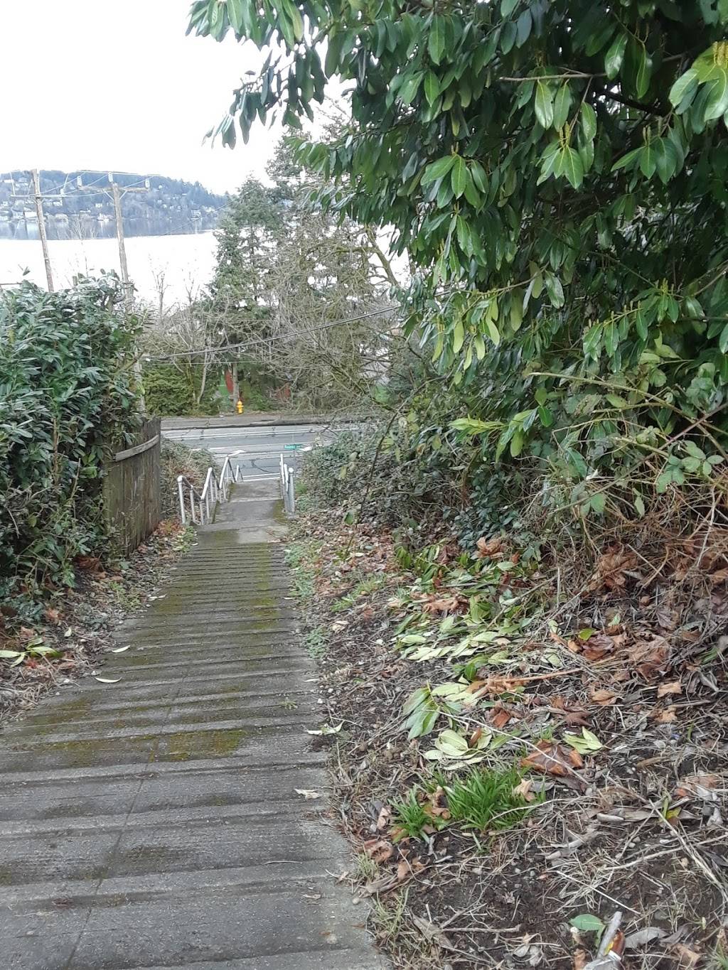 Thayer Place | 10088 Waters Ave S, Seattle, WA 98178, USA | Phone: (206) 684-4075