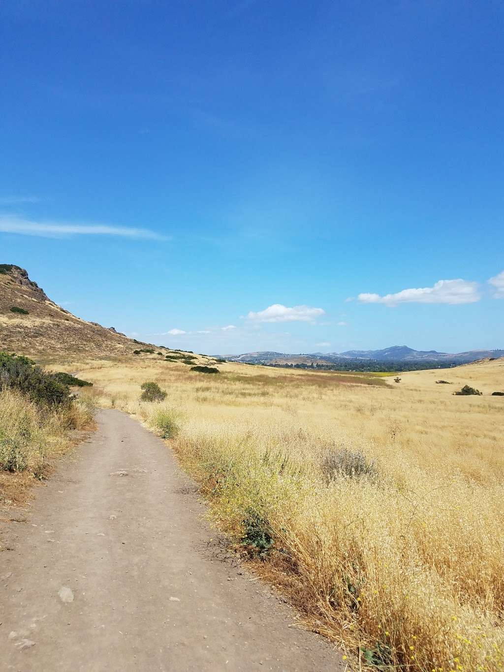 Lizard Rock | Thousand Oaks, CA 91360, USA