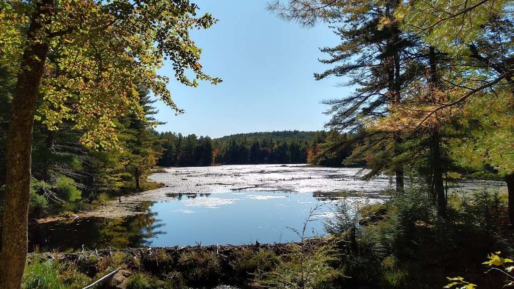 Grater Woods Trail | Gateway Trail, Merrimack, NH 03054