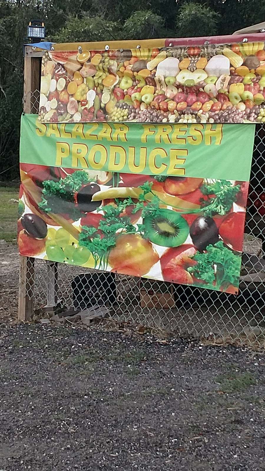 Salazar Produce | 6340 E Alfred St, Lake Alfred, FL 33850