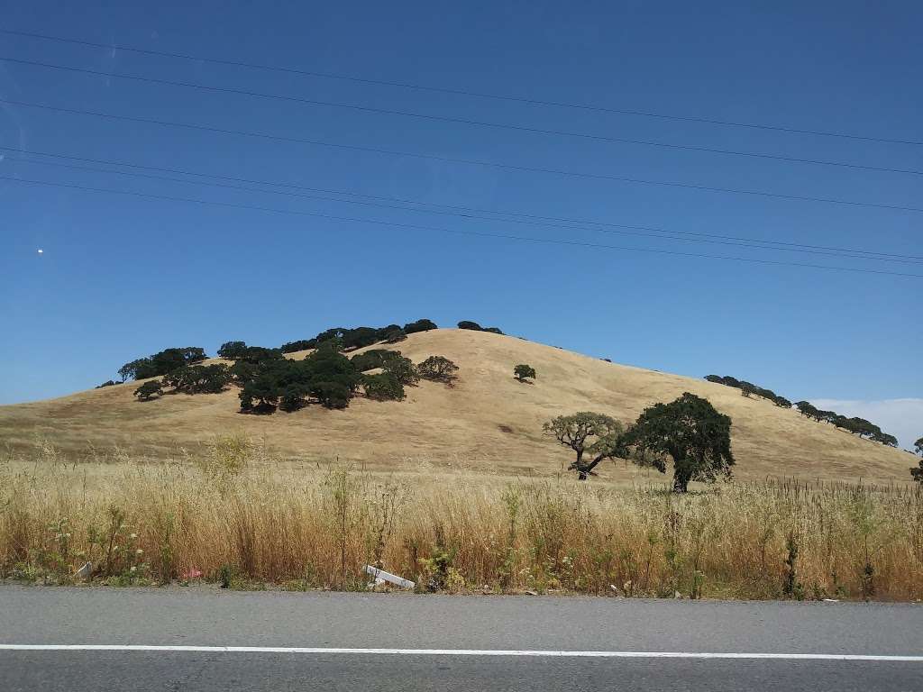 Olompali State Historic Park | 8901 Redwood Blvd, Novato, CA 94945, USA | Phone: (415) 898-4362