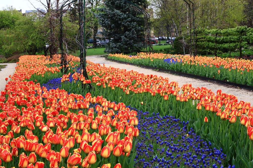 Garfield Park Conservatory Gift Shop | 300 N Central Park Ave, Chicago, IL 60624, USA | Phone: (312) 746-5100