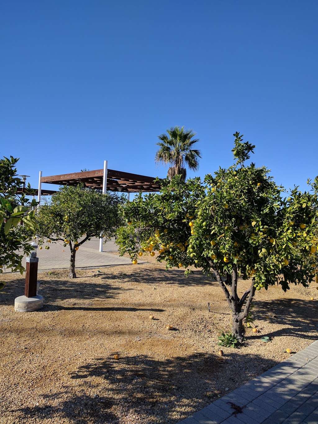 Olympic Xeriscape Garden | 2172-2274 Wueste Rd, Chula Vista, CA 91915, USA