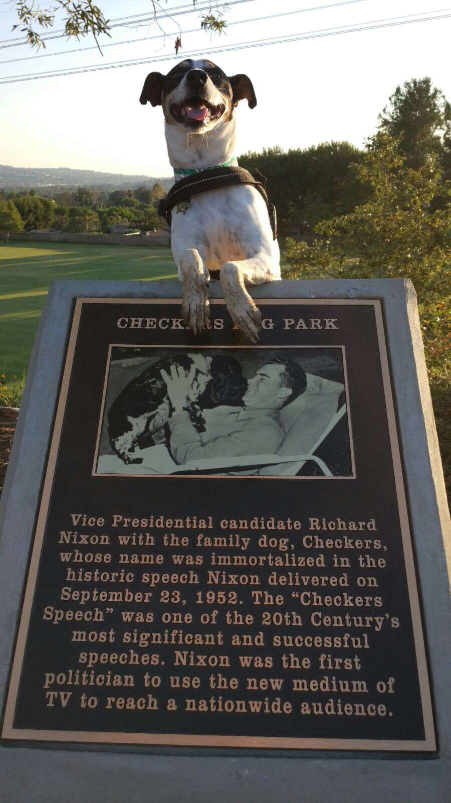 Checkers Dog Park | 5411 Eastside Cir, Yorba Linda, CA 92887, USA | Phone: (714) 961-7160