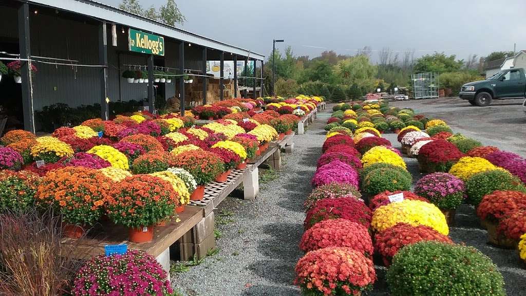 Paul Kelloggs Garden Center | PA-590 & Sawmill Rd, Lake Ariel, PA 18436 | Phone: (570) 689-7912