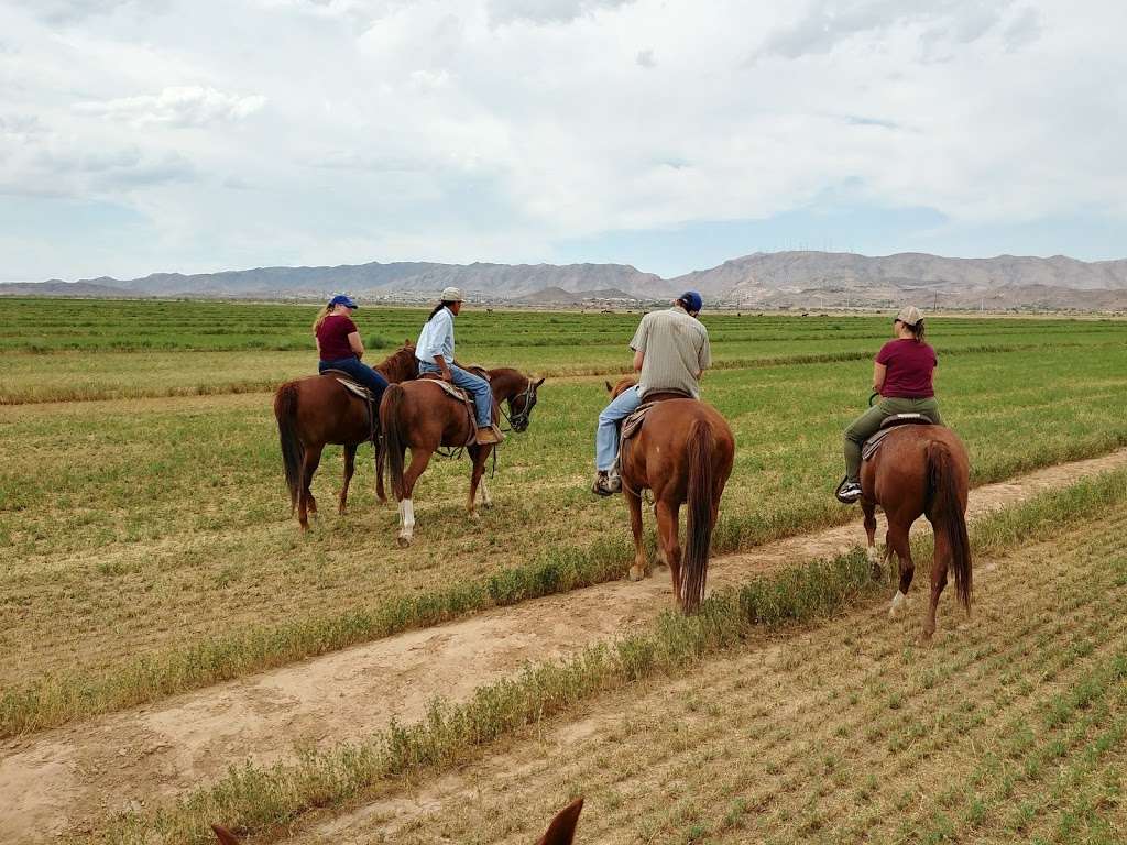 KOLI Equestrian Center | 6940 W BROKEN EAR RD, Chandler, AZ 85226, USA | Phone: (602) 796-3495