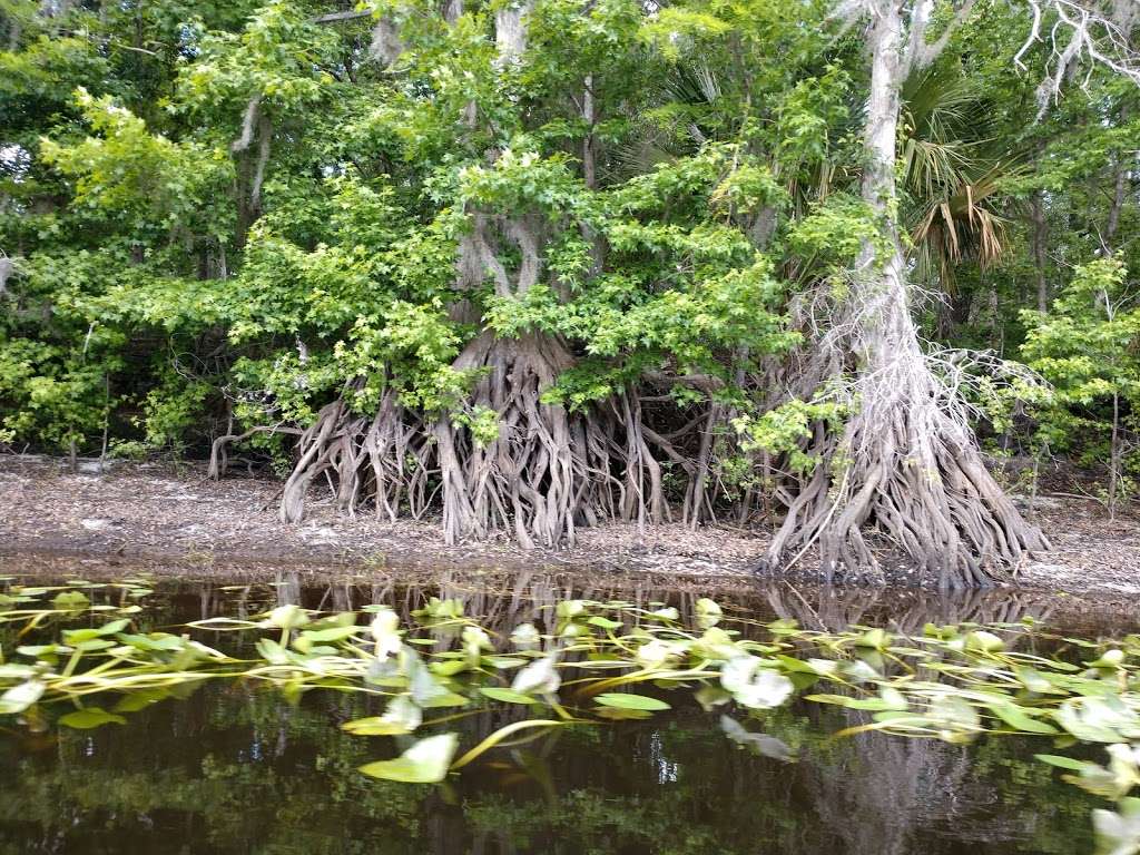 Ocklawaha Prairie Restoration Area | 7910 SE 137th Avenue Rd, Ocklawaha, FL 32179