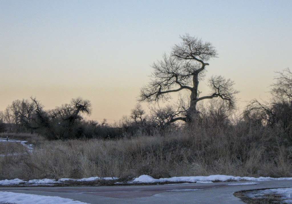 Cherry Creek Trail Pinery Trailhead | Unnamed Rd, Parker, CO 80134, USA