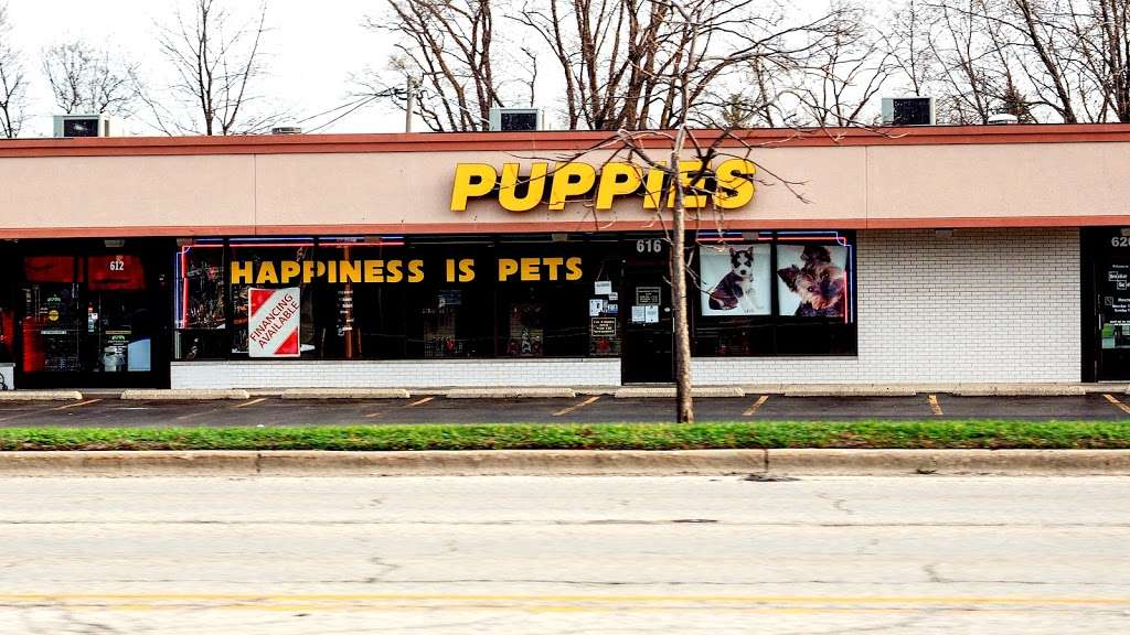 Happiness Is Pets Vi | 616 E Roosevelt Rd, Lombard, IL 60148 | Phone: (630) 261-9400