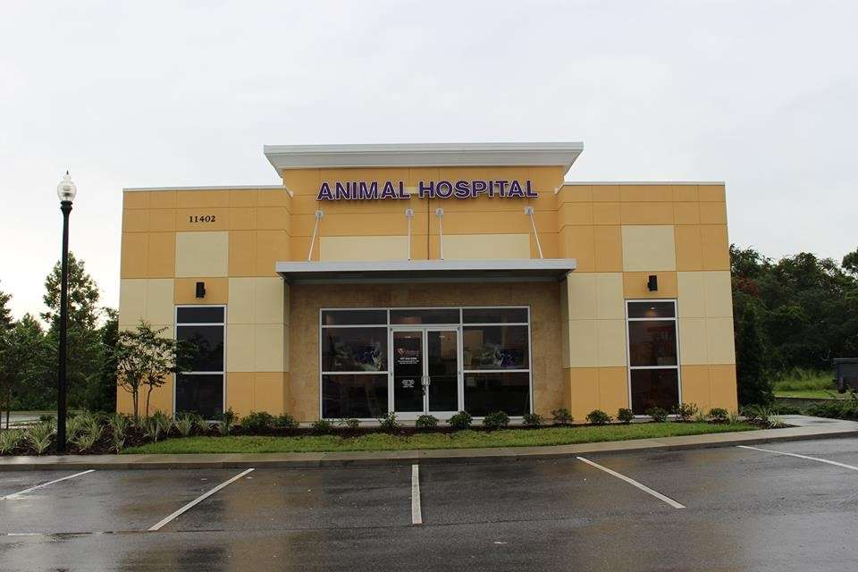 Vineland Animal Hospital | 11402 S Apopka Vineland Rd, Orlando, FL 32836, USA | Phone: (407) 233-3386