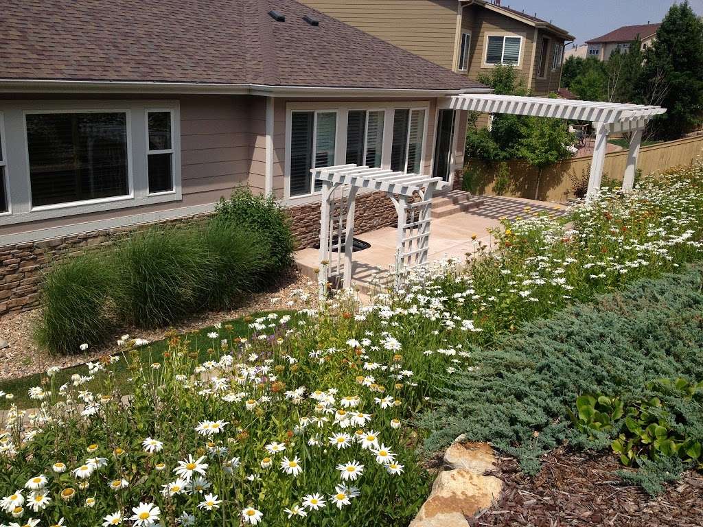 Blue Spruce Assisted Living II | 2570 Pemberly Ave, Highlands Ranch, CO 80126, USA | Phone: (303) 549-3736