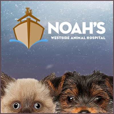 Noahs Caring Hands Animal Hospital at Geist | 7815 Sunnyside Rd, Indianapolis, IN 46236, USA | Phone: (317) 823-6922