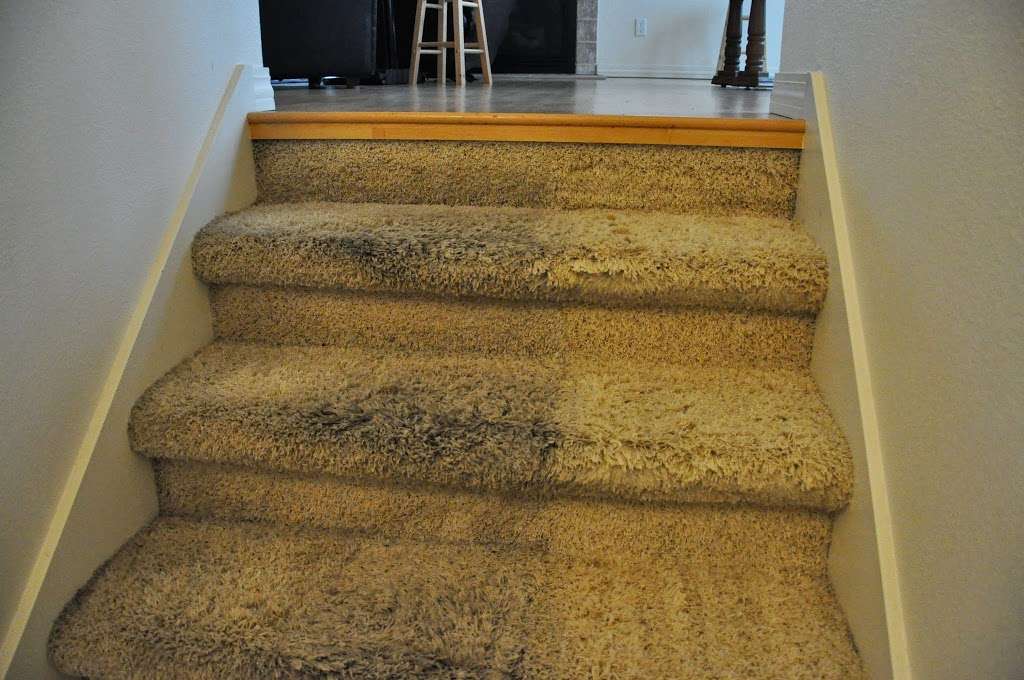 Valencia Carpet Cleaning | 25346 Bunker Hill Ct, Hayward, CA 94542, USA | Phone: (510) 600-4346