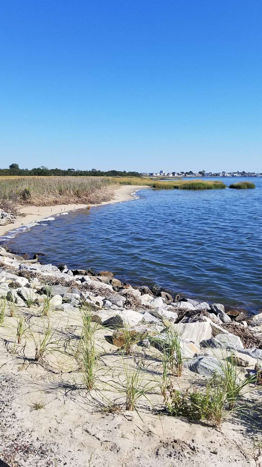 Jamaica Bay Wildlife Refuge | Far Rockaway, NY 11693, USA | Phone: (718) 318-4340