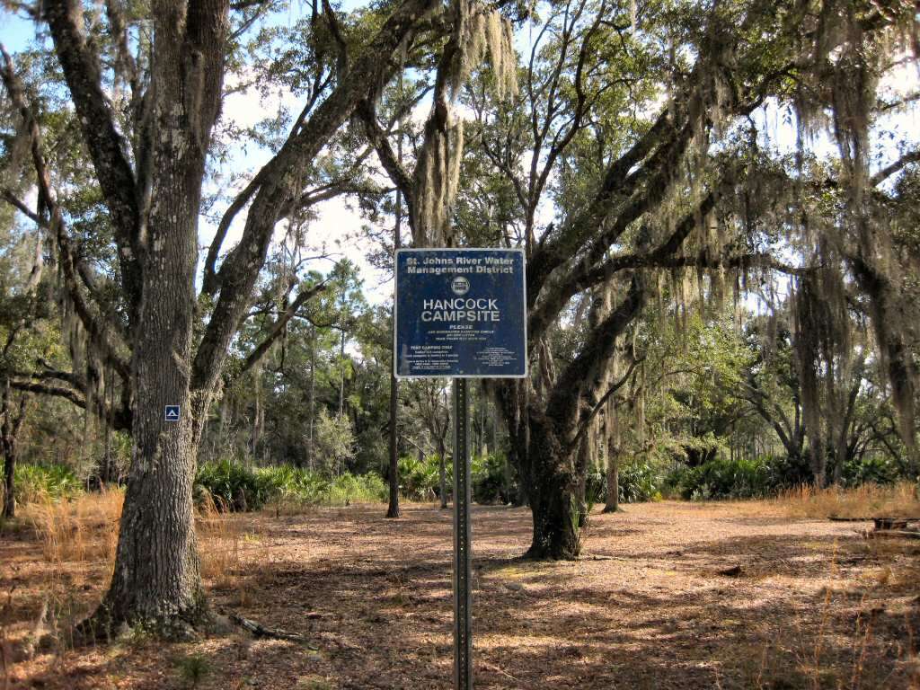 Yellow Loop Campground South | Martin Andersen Beachline Expy, Orlando, FL 32825 | Phone: (321) 555-1212