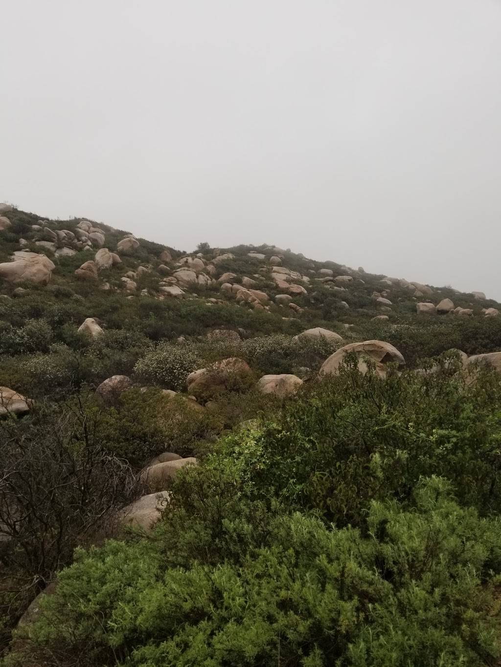 Mt. Woodson Trail Halfway Point | Mount Woodson Trail, Poway, CA 92064, USA