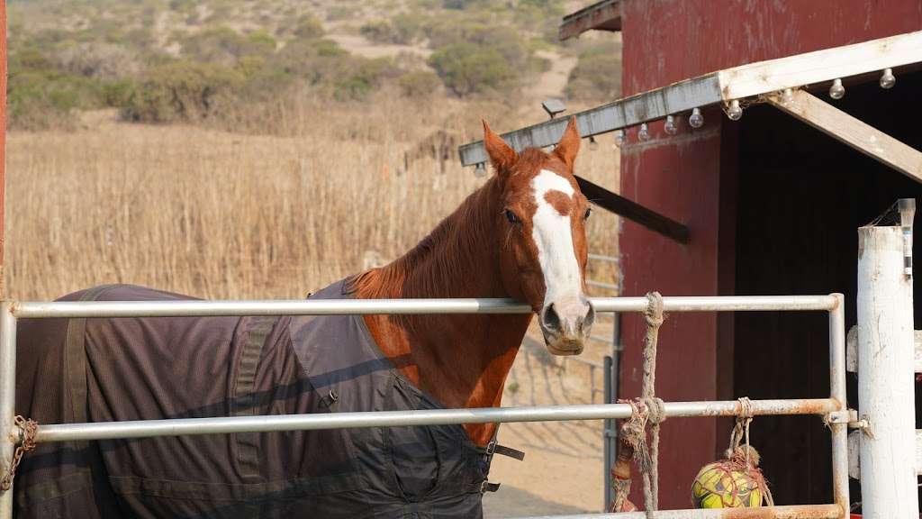 Moss Beach Ranch | 1862 Etheldore St, Moss Beach, CA 94038, USA | Phone: (650) 728-0700