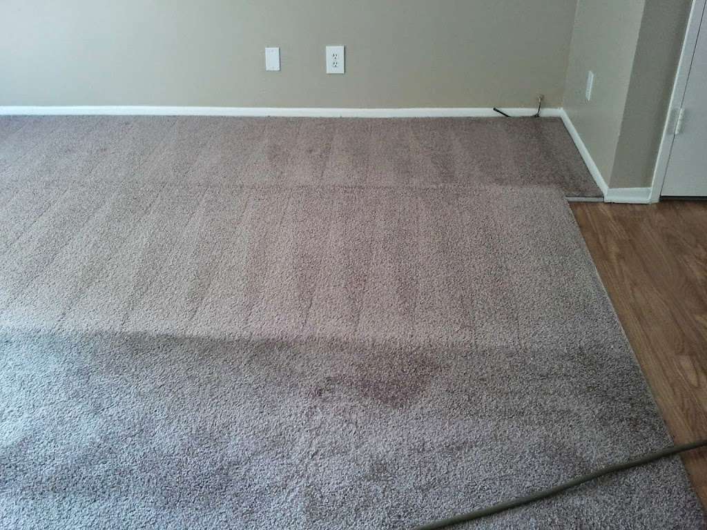 Pro Tech Carpet & Tile Care | 10932 Laurel Ave, Whittier, CA 90605, USA | Phone: (562) 447-4300
