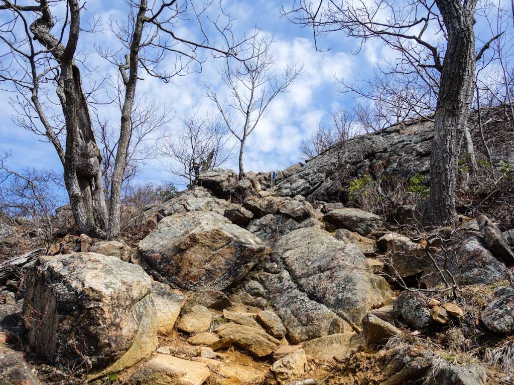 Seven Hills Trail (blue markers) | Ramapo, NY 10901