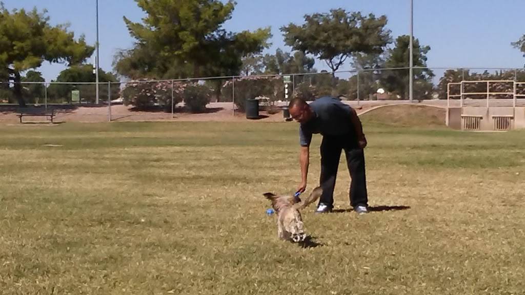 Countryside Dog Park | 3130 E Southern Ave, Mesa, AZ 85204, USA | Phone: (480) 644-2352