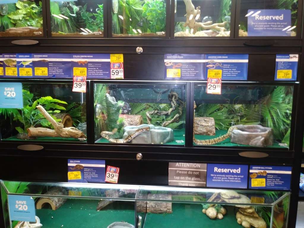 PetSmart | 7888 Van Nuys Blvd #1, Van Nuys, CA 91402, USA | Phone: (818) 742-1758