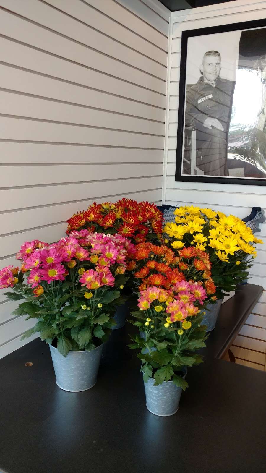 Americana Flower Station | 500 Main St, Mukwonago, WI 53149, USA | Phone: (262) 378-4200