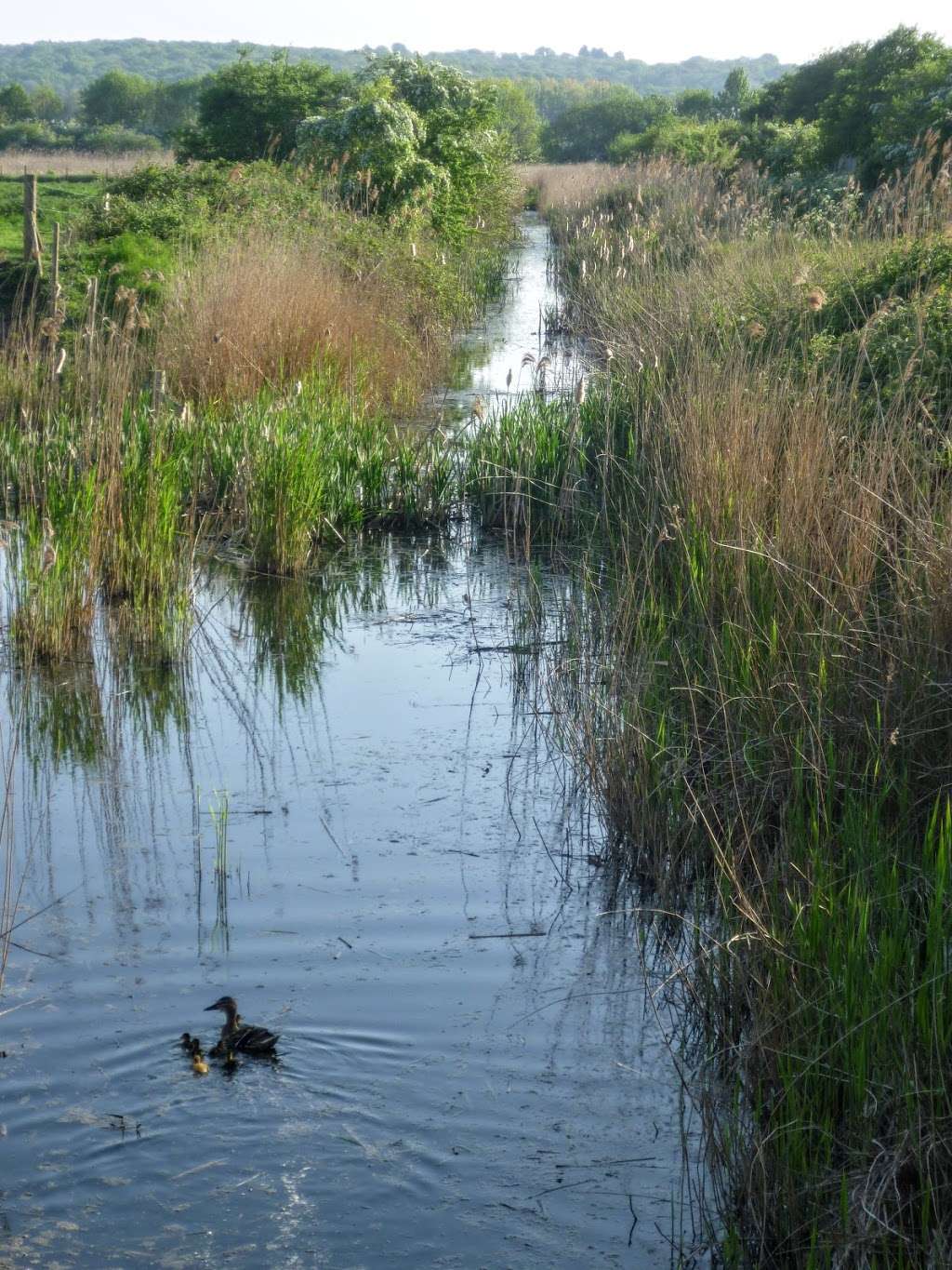 Crossness Nature Reserve | Belvedere, Erith DA17 6FP, UK