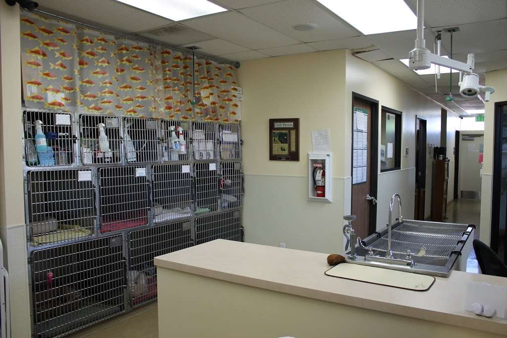 Redondo Shores Veterinary Center | 701 S Pacific Coast Hwy, Redondo Beach, CA 90277, USA | Phone: (310) 540-5588