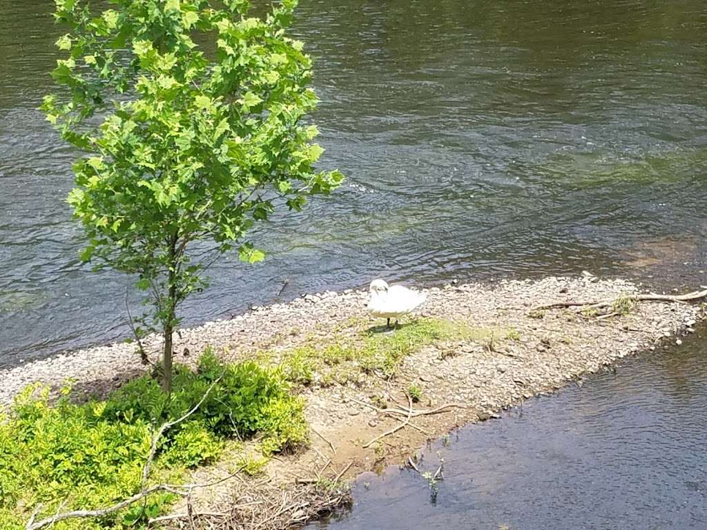 Blackstone Bicycles | 391 Mendon Rd, Cumberland, RI 02864, USA | Phone: (401) 335-3163