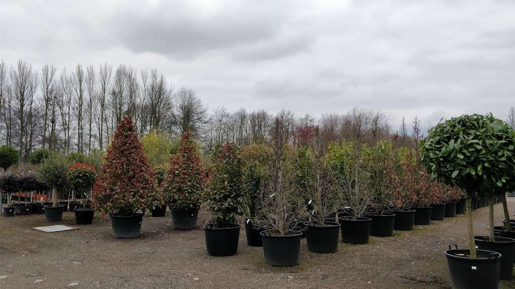 Northfield Nursery | Sewardstone Rd, Waltham Abbey, London E4 7RG, UK | Phone: 020 8529 0367