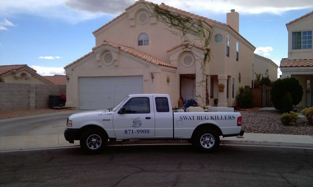 Swat Bug Killers | 3520 Coleman St, North Las Vegas, NV 89032, USA | Phone: (702) 537-0241